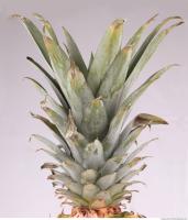 Pineapple 0017